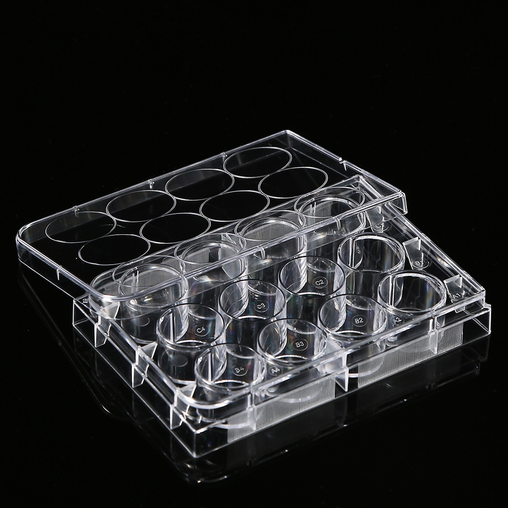 ポリスチレン花びら皿、文化皿、実験室用12穴、医療生物科学実 - Medical Lab Supplies のレビューと価格