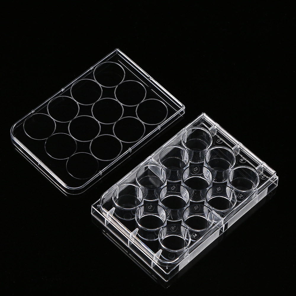 ポリスチレン花びら皿、文化皿、実験室用12穴、医療生物科学実 - Medical Lab Supplies のレビューと価格